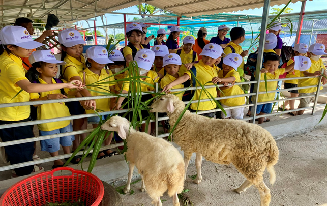Các em học sinh thích thú trải nghiệm hoạt động cho cừu ăn, gần gũi hơn với thiên nhiên và học cách chăm sóc vật nuôi tại KOKO FARM. Các em học sinh thích thú trải nghiệm hoạt động cho cừu ăn, gần gũi hơn với thiên nhiên và học cách chăm sóc vật nuôi tại KOKO FARM.