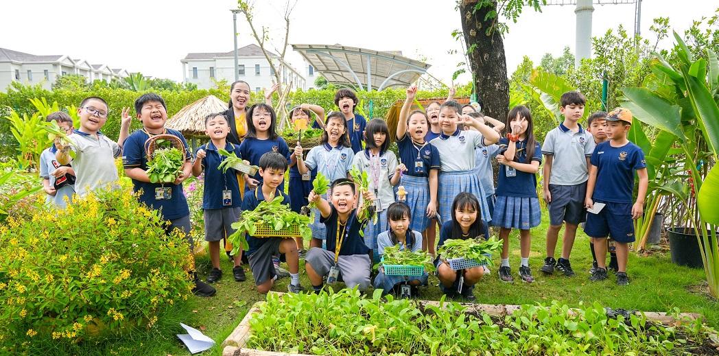 Victoria School xây dựng môi trường học xanh và thân thiện. 5