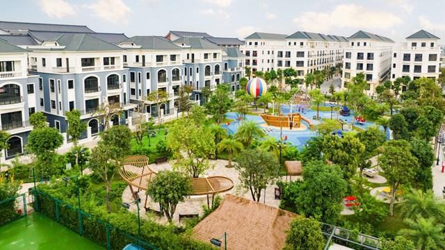 Giỏ hàng San Hô luôn dẫn đầu về độ “hot” tại Vinhomes Ocean Park 2 1