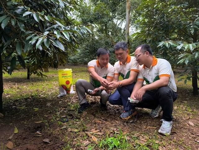 Phú Mỹ triển khai đo dinh dưỡng đất thông minh, ứng dụng công nghệ tiên tiến 1