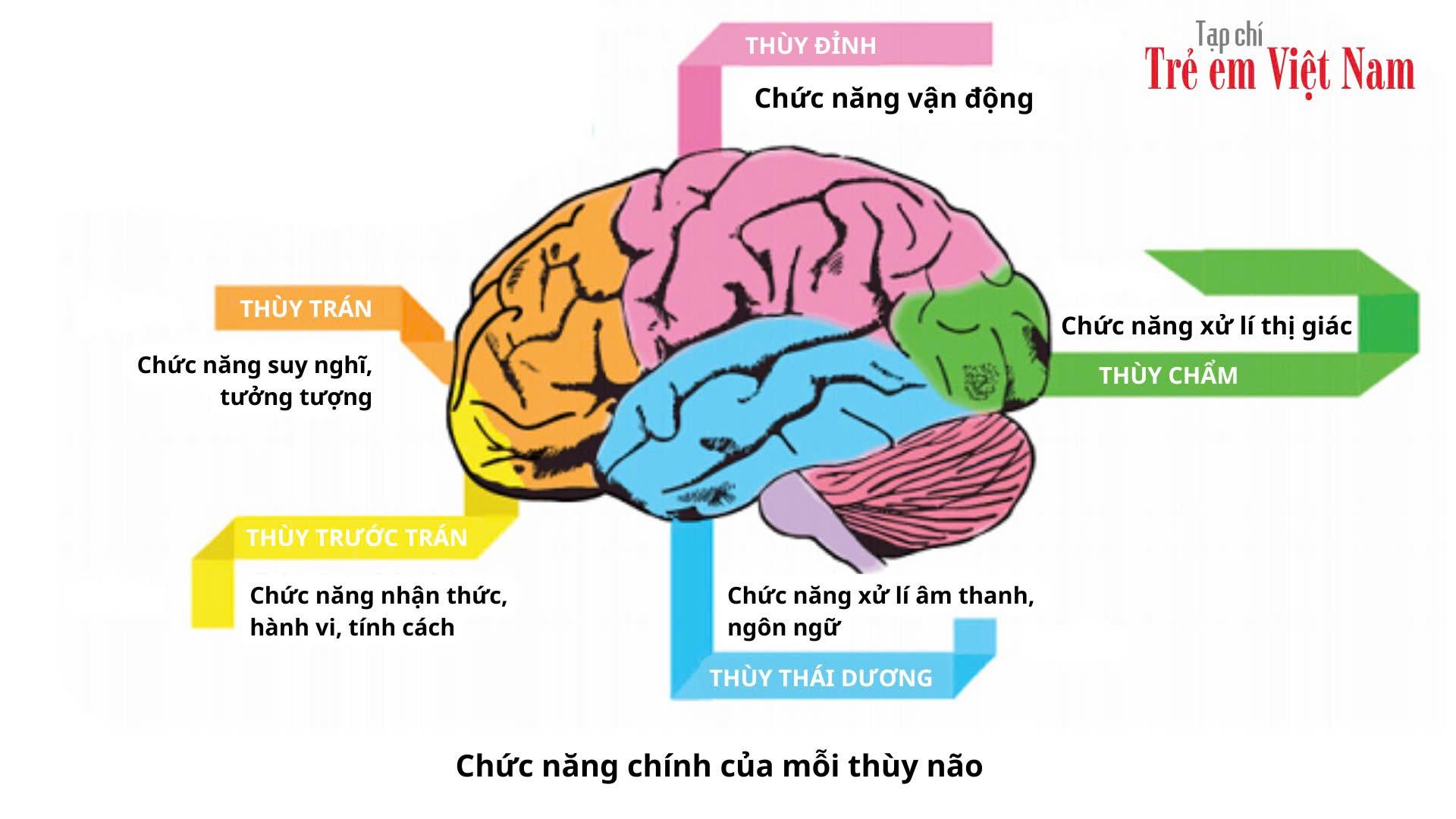 bạo lực trẻ em 3