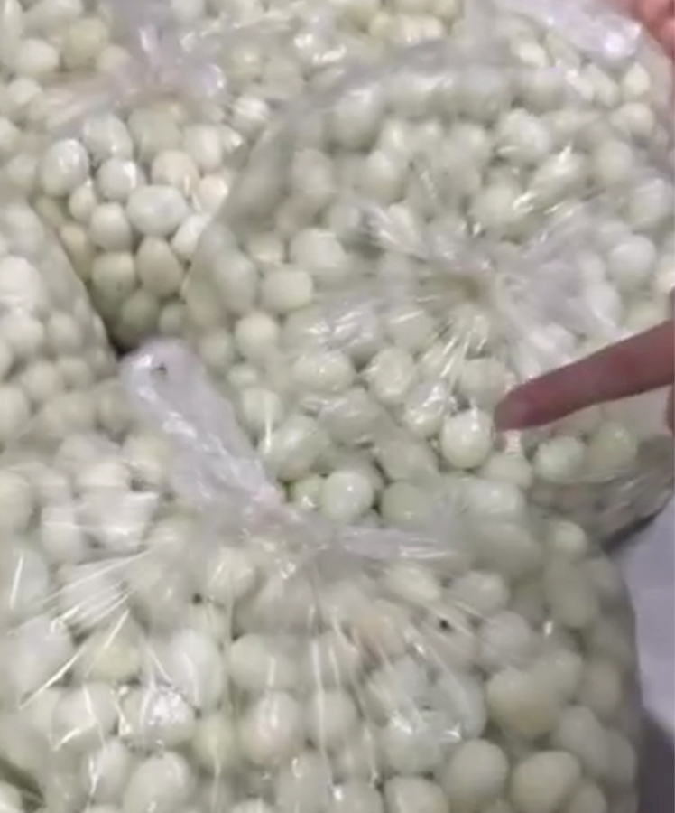 bữa ăn bán trú