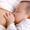 Tuần lễ Thế giới Nuôi con bằng sữa mẹ 2024 - Kết nối vòng tay yêu thương
