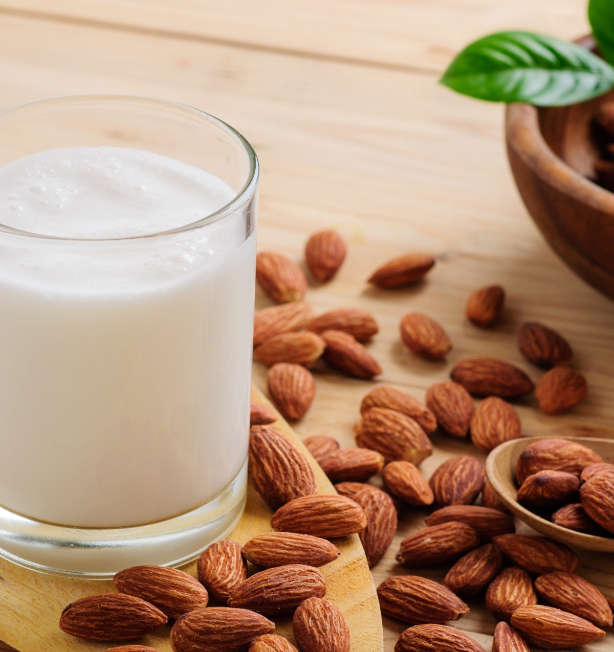 7 sự thật về sữa có nguồn gốc thực vật cha mẹ nên biết