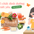 Viện Dinh dưỡng: Bổ sung vitamin A rất cần thiết đối với sức khỏe và sự phát triển toàn diện của trẻ