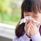 Cảnh báo viêm mũi xoang dị ứng ở trẻ: Đừng chủ quan với mạt bụi nhà