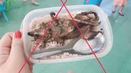 Hộp cơm thịt chuột của học sinh Quảng Nam là ở lễ hội năm 2019
