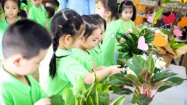 Hà Nội xây dựng trường học xanh