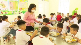 Hà Nội truy xuất nguồn gốc thực phẩm bếp ăn trường học