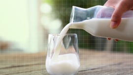 Trẻ em uống nhiều sữa tươi có tốt?