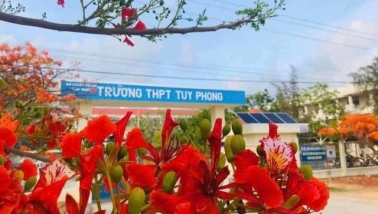 Bình Thuận: Một giáo viên bị điều tra có hành vi xâm hại trẻ em