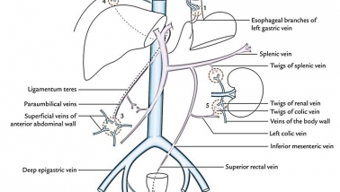 Lưu ý khi sử dụng thuốc hạ sốt đặt trực tràng cho trẻ