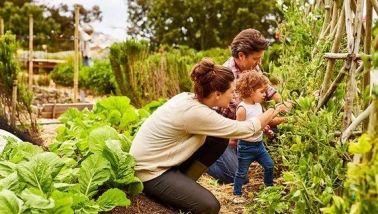 Những lợi ích tuyệt vời khi trẻ được khám phá thiên nhiên