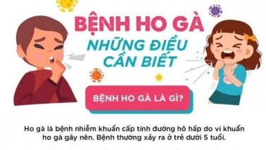 Infographic: Bệnh ho gà và những điều cần biết