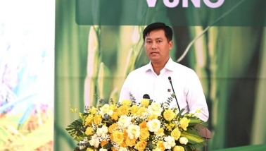 Agribank tích cực giải ngân cho Đề án 1 triệu héc-ta lúa chất lượng cao, xây dựng nền nông nghiệp bền vững