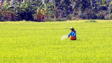 Phân bón không chịu thuế GTGT - khi nào lợi, khi nào thiệt?