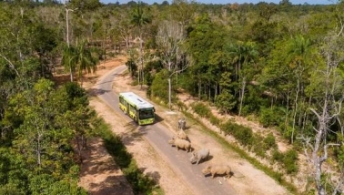 Vinpearl Safari Phú Quốc lọt top đầu vườn thú và thủy cung tại Châu Á