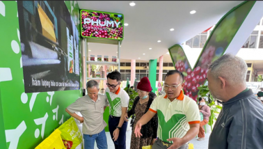 DPM chốt quyền chia cổ phiếu tỷ lệ 73,7%, sản lượng sản xuất và kinh doanh vượt xa kế hoạch nửa đầu năm