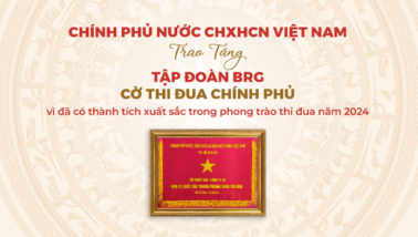 Tập đoàn BRG được trao tặng Cờ Thi đua Chính phủ