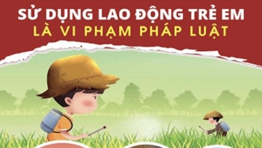 Phát triển bộ công cụ rà soát lao động trẻ em ở Việt Nam