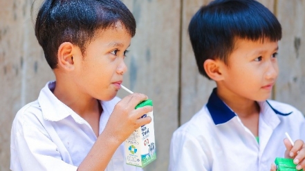 Vì sao tỉnh Quảng Nam dừng chi 150 tỷ cho sữa học đường?