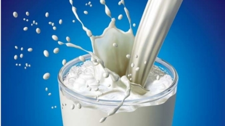 Cho trẻ uống nhiều sữa tươi có phải là điều tốt?