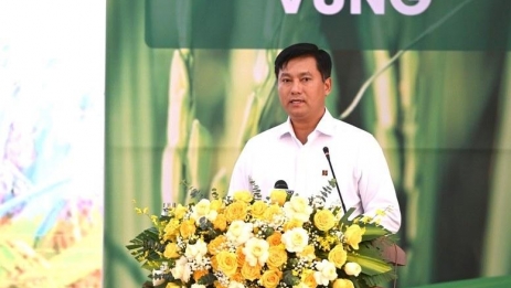 Agribank tích cực giải ngân cho Đề án 1 triệu héc-ta lúa chất lượng cao, xây dựng nền nông nghiệp bền vững