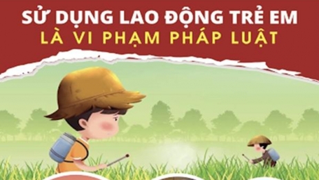 Phát triển bộ công cụ rà soát lao động trẻ em ở Việt Nam