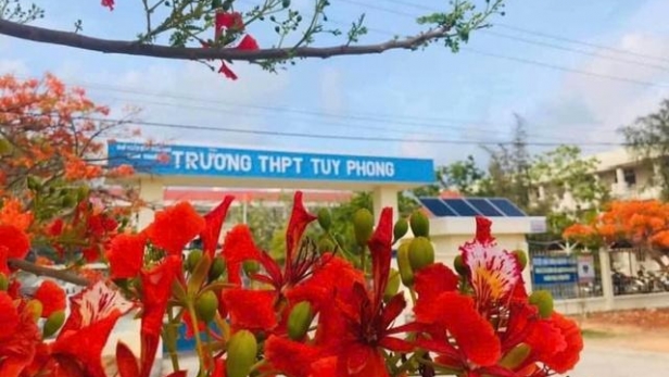 Bình Thuận: Một giáo viên bị điều tra có hành vi xâm hại trẻ em