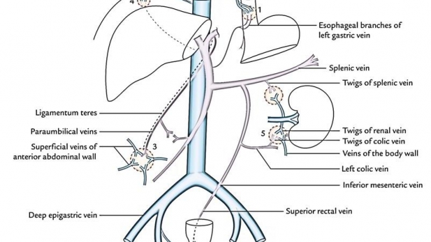 Lưu ý khi sử dụng thuốc hạ sốt đặt trực tràng cho trẻ