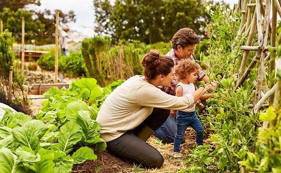 Những lợi ích tuyệt vời khi trẻ được khám phá thiên nhiên