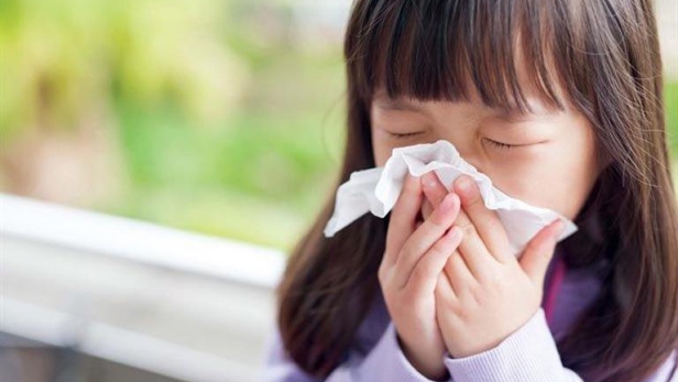 Cảnh báo viêm mũi xoang dị ứng ở trẻ: Đừng chủ quan với mạt bụi nhà