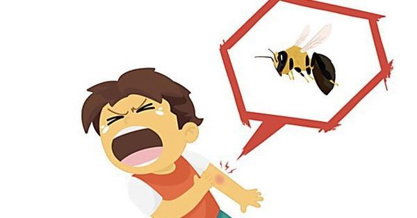 Liên tiếp nhiều vụ ong vò vẽ tấn công gây tử vong: Cảnh báo nguy hiểm và khuyến cáo phòng tránh