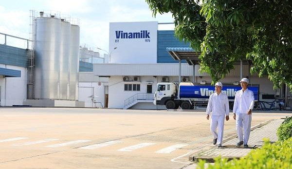 Vinamilk và bài học biến chi phí xanh thành sức mạnh thương hiệu