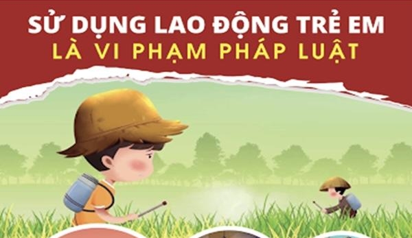 Phát triển bộ công cụ rà soát lao động trẻ em ở Việt Nam