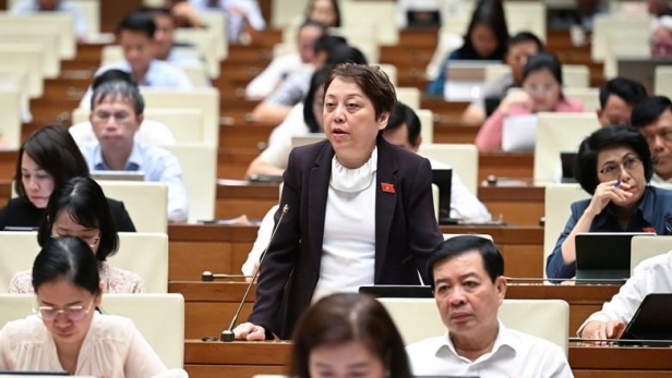Đại biểu Quốc hội đề nghị tăng hình phạt tội sản xuất và kinh doanh sữa giả, thực phẩm chức năng giả