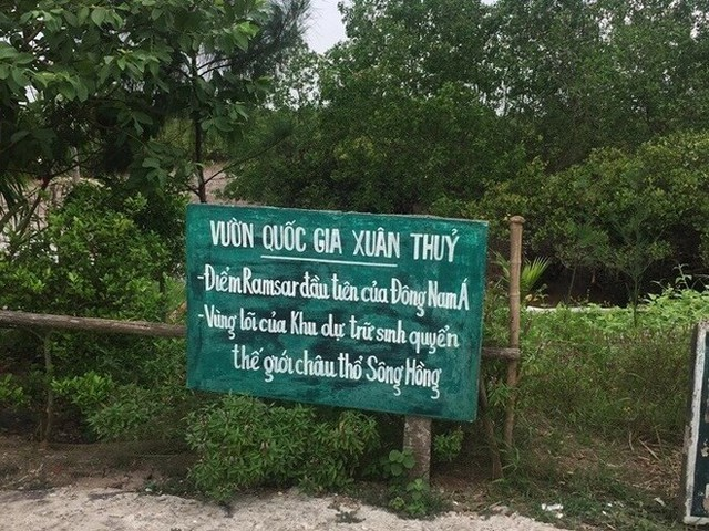 Hà Nội: Nghiêm cấm hoạt động trải nghiệm tự phát sau sự cố tại Vườn quốc gia Xuân Thủy